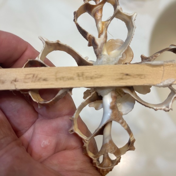 Handmade SEASHELL CROSS. - Picture 5 of 5